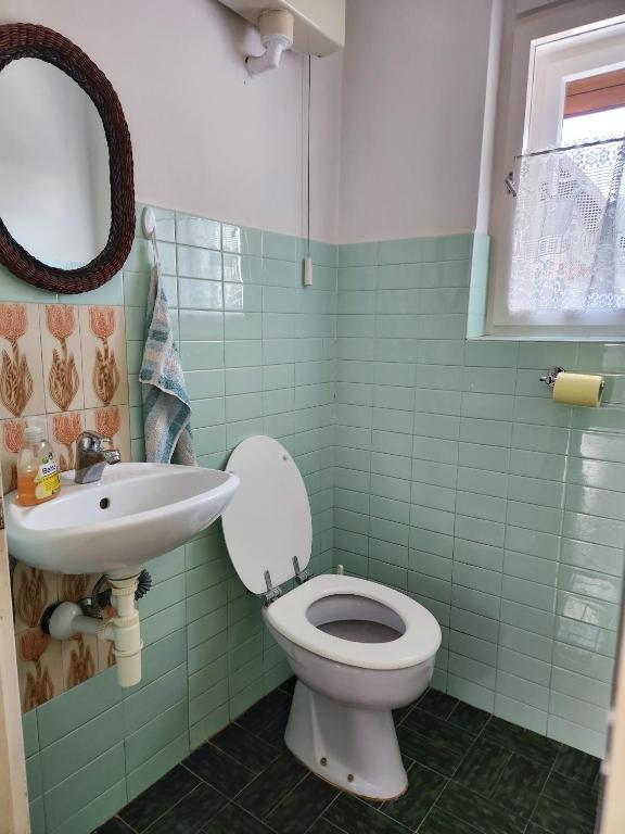 a bathroom with a toilet and a sink at Apartma Raft, Bovec in Bovec