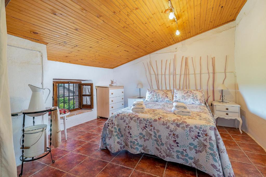 La Jara · Apartamentos Rurales - 4