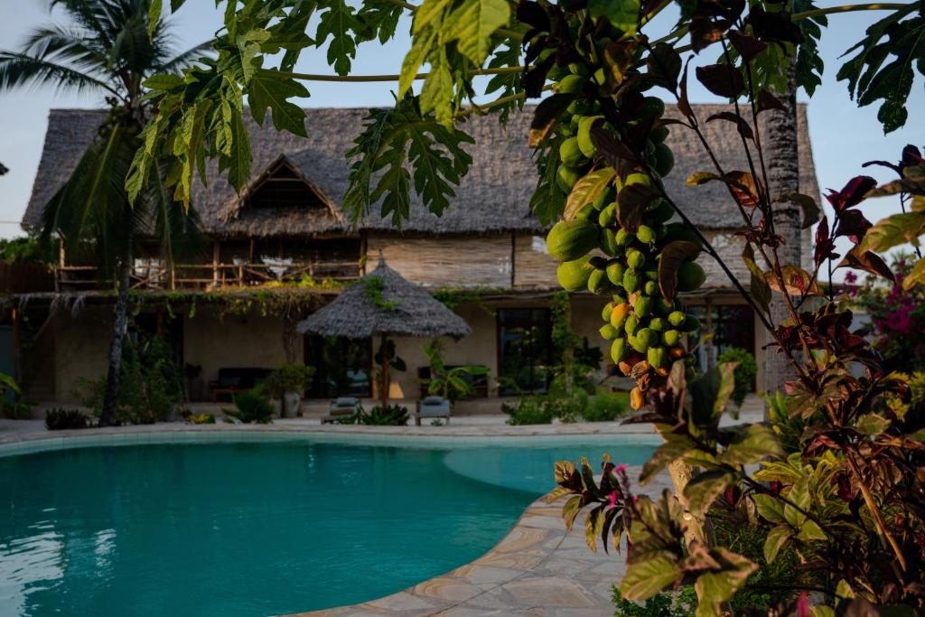 um resort com uma piscina em frente a um edifício em The Garden em Paje