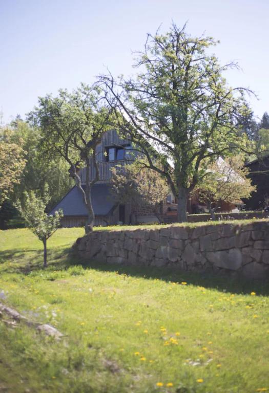 a house with a stone wall and two trees at Lodjadis in Labaroche