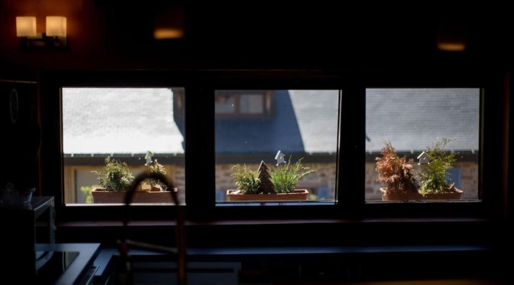 a window with four potted plants on a window sill at Lodjadis in Labaroche