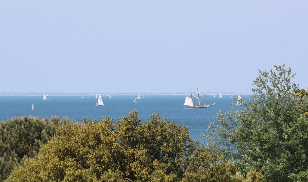 un grupo de barcos en el agua con árboles en Maison lumineuse, pour 8, avec vue sur mer en Saint-Gildas-de-Rhuys