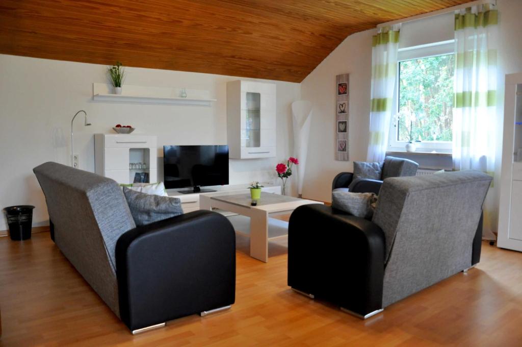 TV a/nebo společenská místnost v ubytování Ferienwohnung Sperlingslust