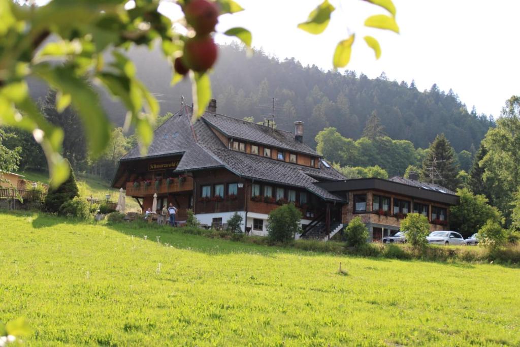 托特莫斯的住宿－Das Schwarzwaldhotel，一座带绿地的山丘上的大型房屋