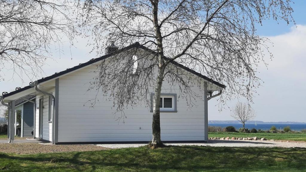 Una casa blanca con un árbol delante. en Ferienhaus Casa Baltica, en Gelting