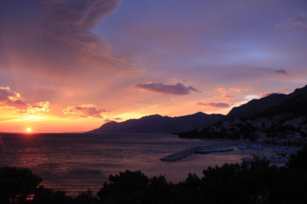 Hotel Villa Bacchus - 12