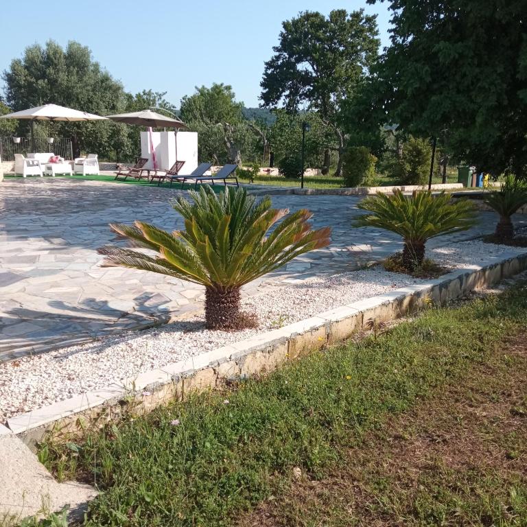 Ogród w obiekcie Villa Il Leccio - Trulli