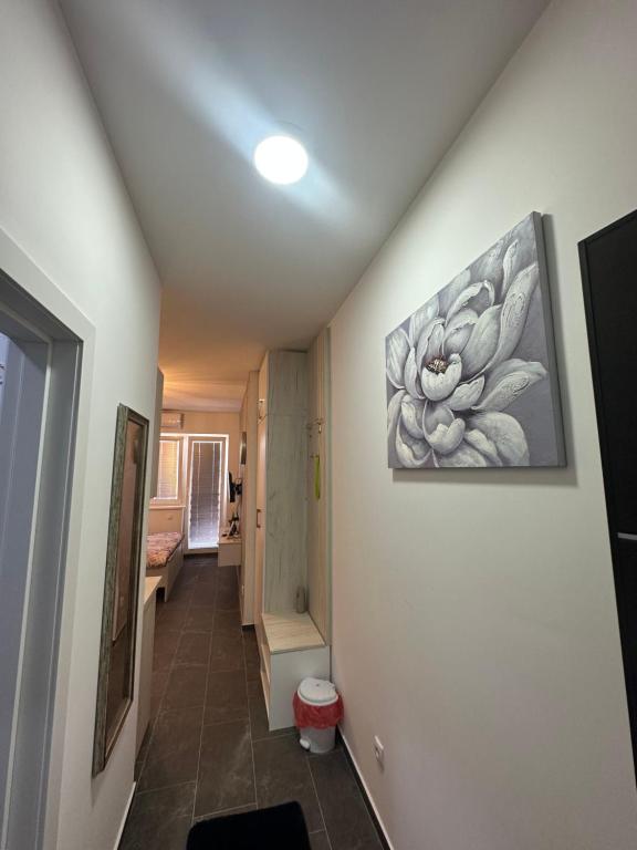 Foto sihtkohas Golubac asuva majutusasutuse Apartman Aleks galeriist