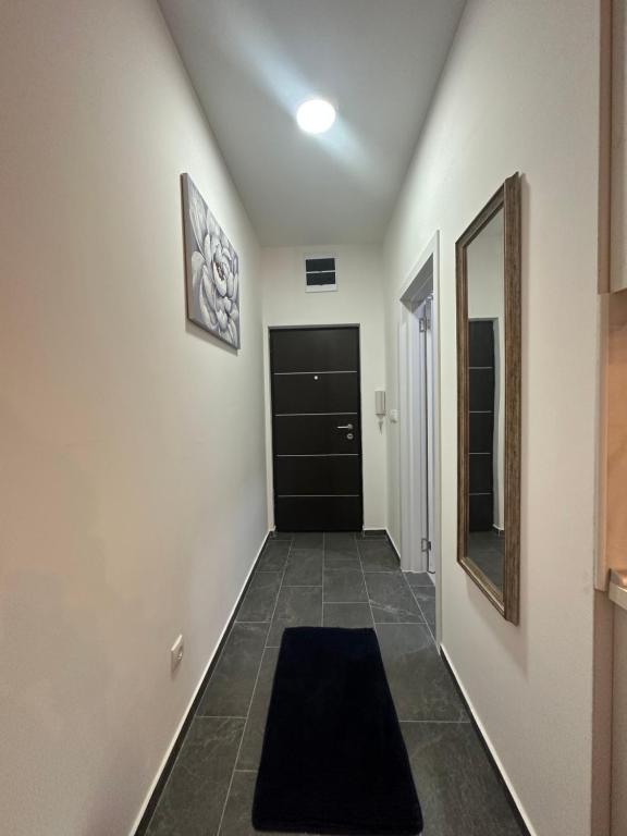 Foto sihtkohas Golubac asuva majutusasutuse Apartman Aleks galeriist