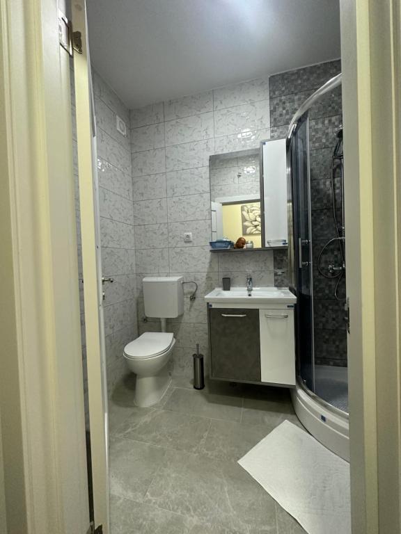 Vannituba majutusasutuses Apartman Aleks