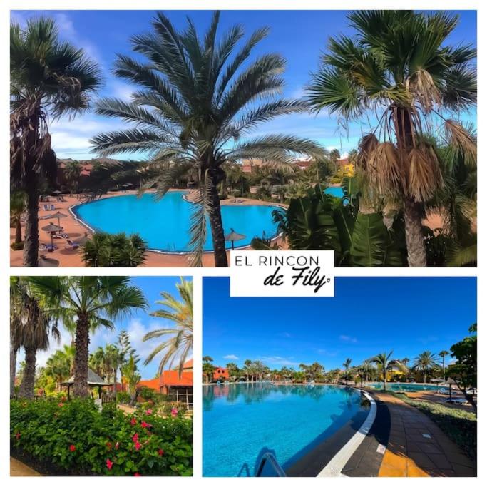 Apartment El Rincon the Fili garden view by Rentalfue, Corralejo, Spain