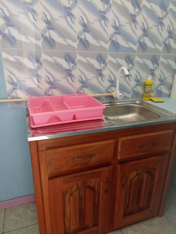 a kitchen counter with a sink and a pink tray on it at Logerthine Josy Suriname in Paramaribo
