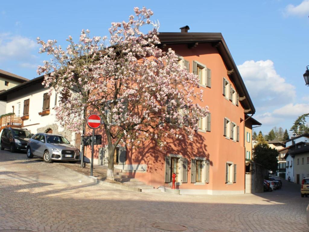 un albero su una strada di fronte a un edificio di Magnolia Levico a Levico Terme