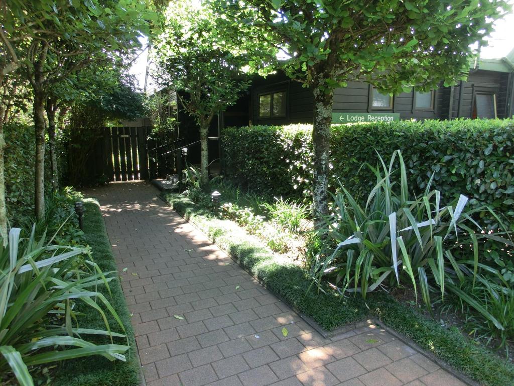 Tongariro Lodge - Resim 27