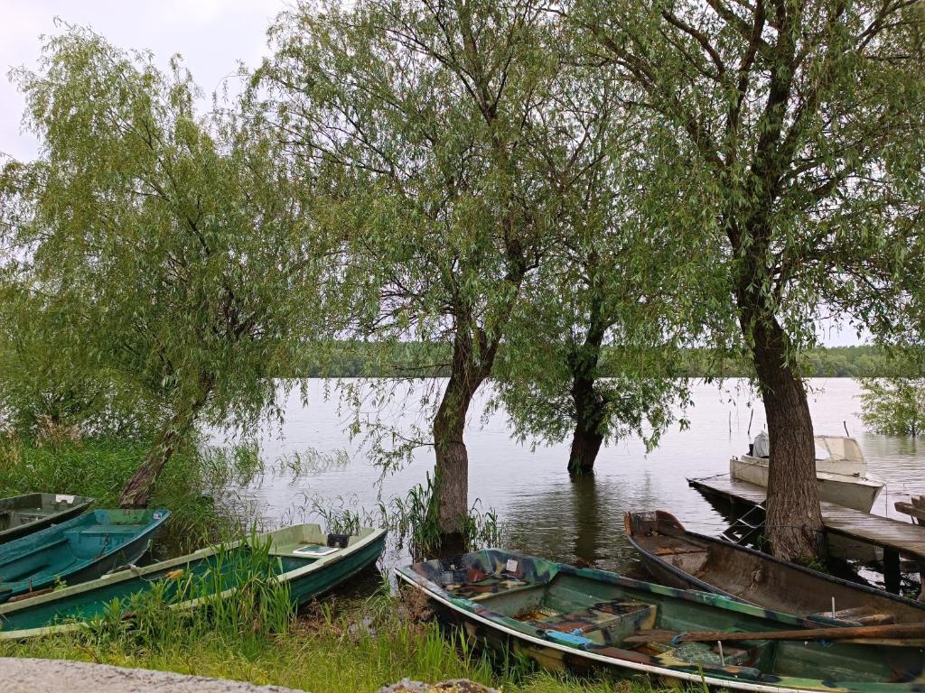 Výhled na řeku, která protéká v blízkosti kempu