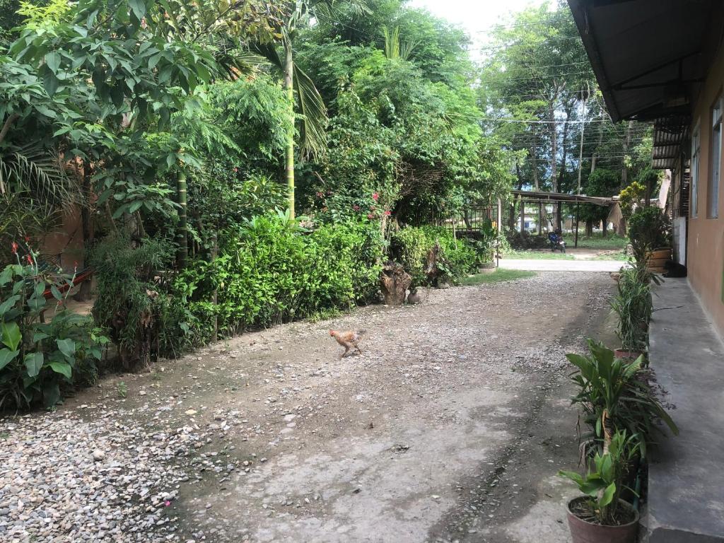 Zahrada ubytování Tara guesthouse - Sauraha,Chitwan