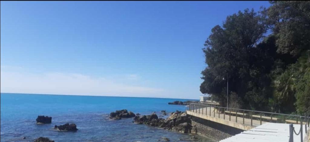a group of animals in the water near a pier at Castiglioncello Suite in Castiglioncello