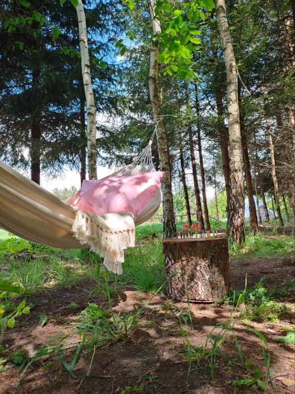 Zahrada ubytování Puszcza Glamping