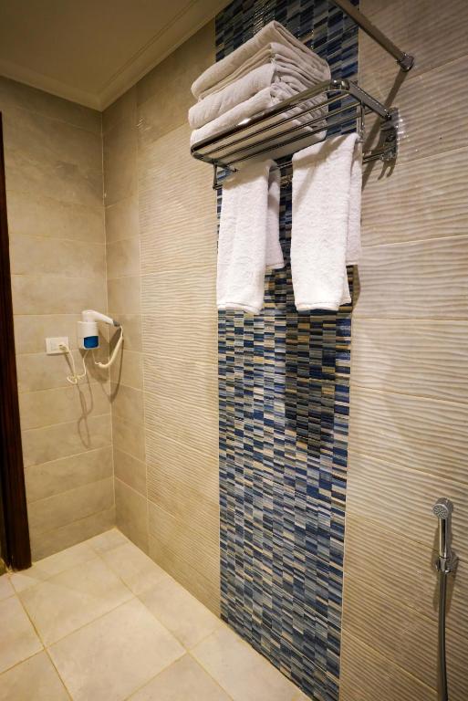 Savoy Hotel ELMinya - 19