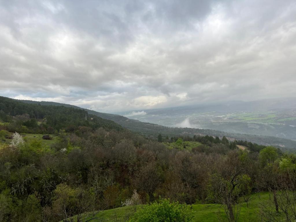 - une vue sur la vallée depuis une colline arborée dans l'établissement Tulipfaith Eco House, à Safranbolu