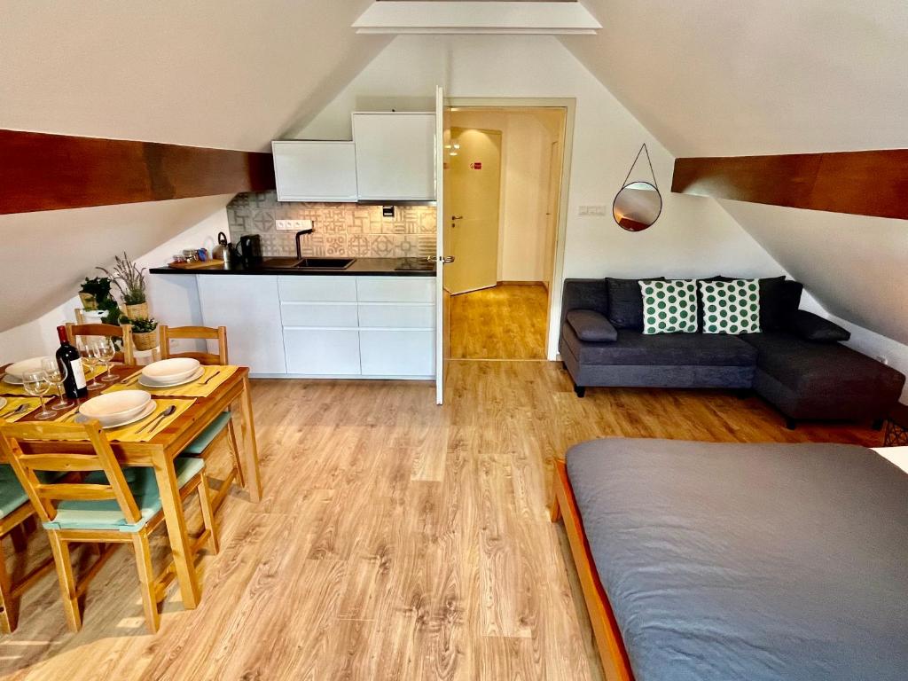 Kuchnia lub aneks kuchenny w obiekcie Apartmány Dlouhá