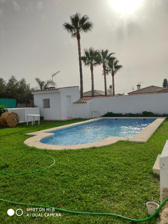 a swimming pool in a yard with palm trees at VILLA LOS GALLOS in Chiclana de la Frontera