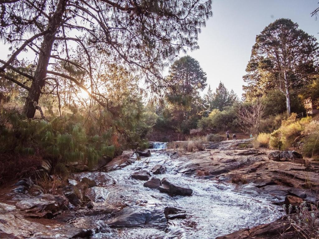 a river in the middle of a forest at Zwakala River Retreat in Haenertsburg