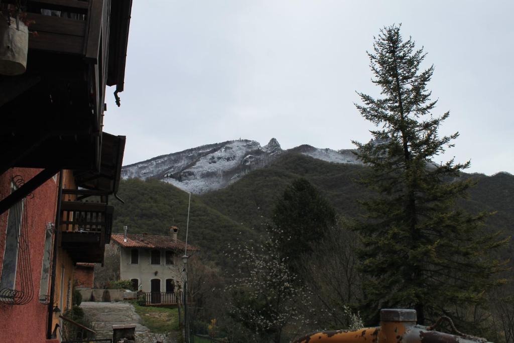 Une montagne au loin avec une maison et un arbre dans l'établissement Agriturismo Al Vecio Caselo (Casa Maga), à Arsiero