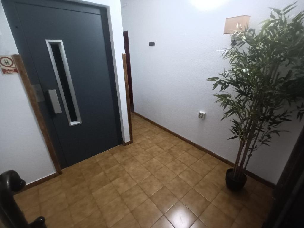 Fotografia z galérie ubytovania Hostal Can Jaume v destinácii Mollerusa