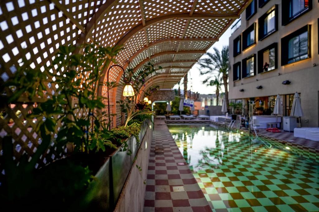 Bazén v ubytování Brown Eilat Hotel nebo v jeho okolí