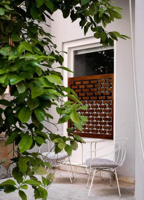 Zahrada ubytování Lemon Garden Studio