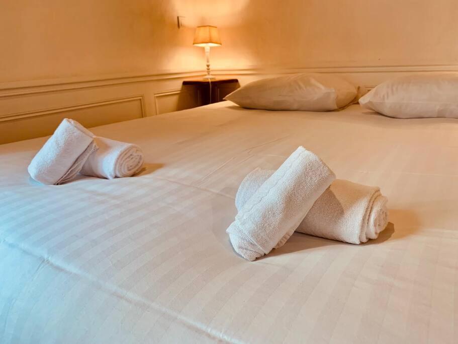a bed with two white towels on it at Le Pandora, Charmant Studio - Hypercentre in Rennes