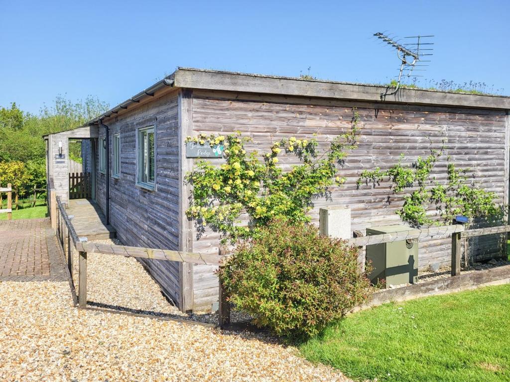 a wooden shed with plants on it in a garden at Primrose Lodge in Holsworthy