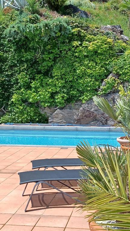 阿斯科納的住宿－Sollevante Ascona，游泳池旁的长凳