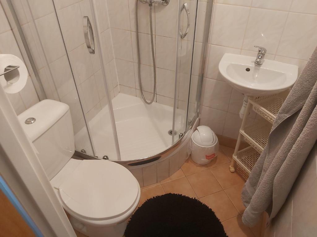 Pokoje gościnne Anna - 1