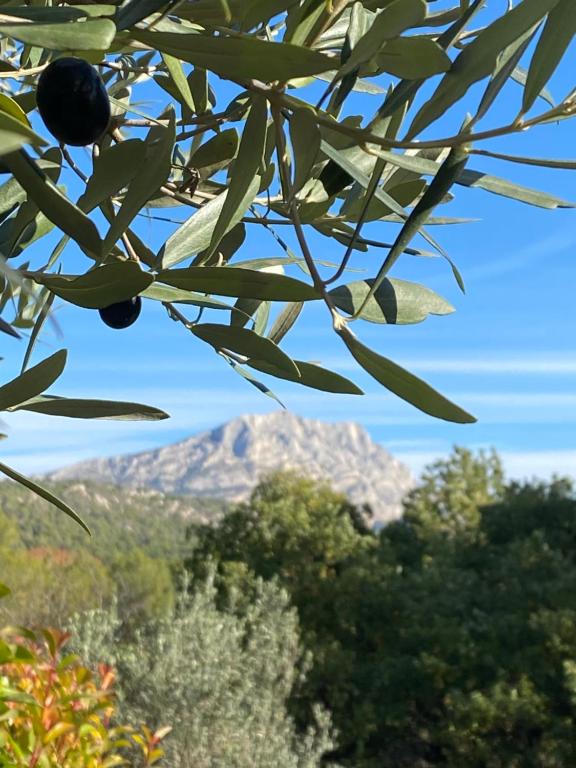 Les Lodges Sainte-Victoire Hotel & Spa - Resim 41