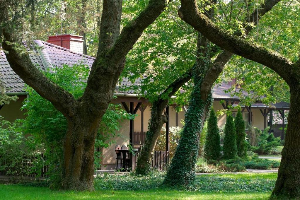 ein Haus mit Bäumen vor einem Hof in der Unterkunft Lipowy Przylądek - Domek 1 