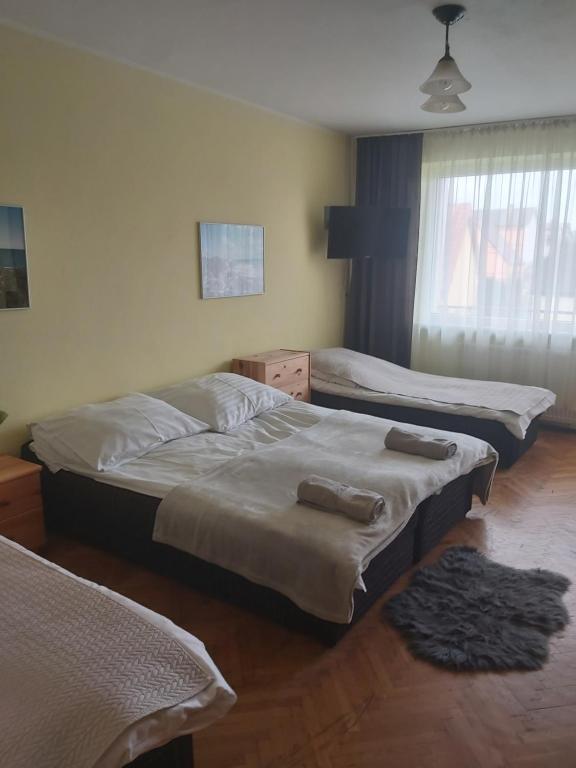 Pokoje gościnne Anna - 17