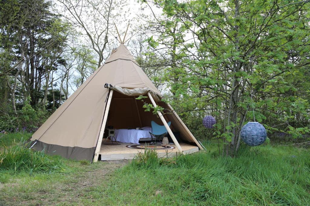 a tent in a field with a bed in it at Tipi Texel in 't Horntje