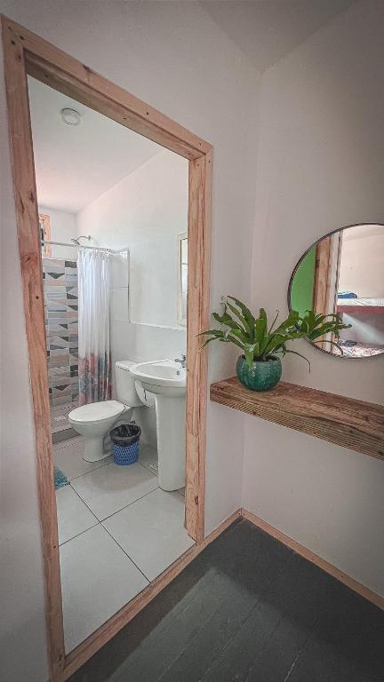 Compay Hostel La Pedrera - Bed In 6-Bed Dormitory Room With Private Bathroom