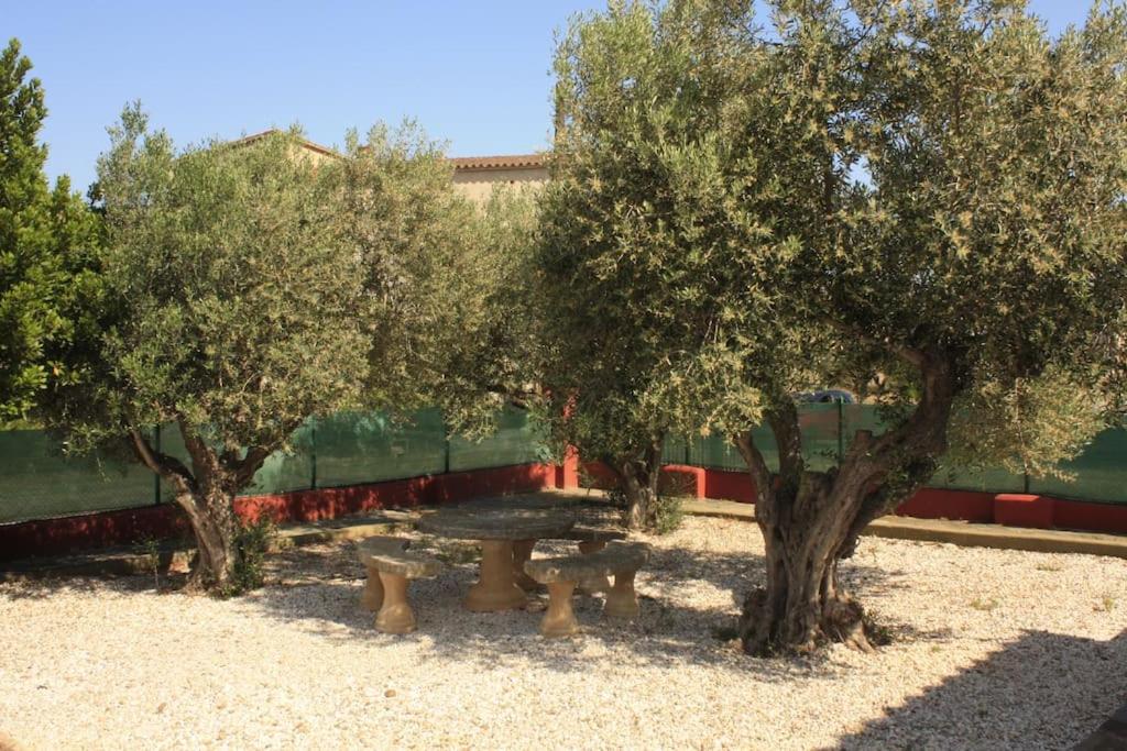 Zahrada ubytování Villa Cristina