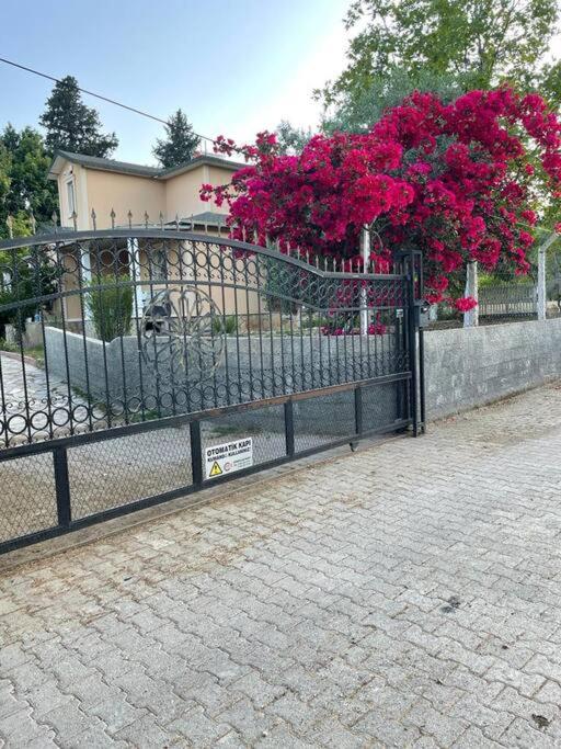 Muhteşem Doğa manzaralı villa ücretsiz internet