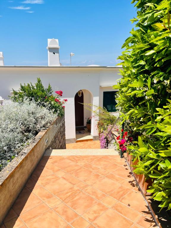 Κήπος έξω από το B&B L'Agapanto
