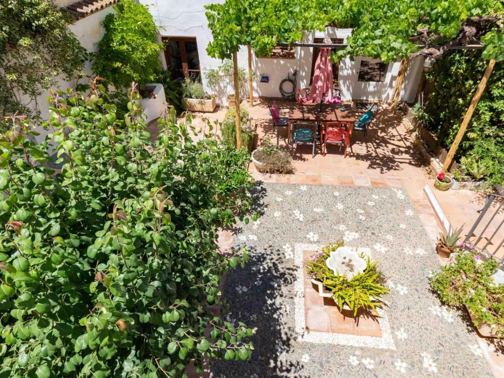 Ogród w obiekcie Casa El Sarük