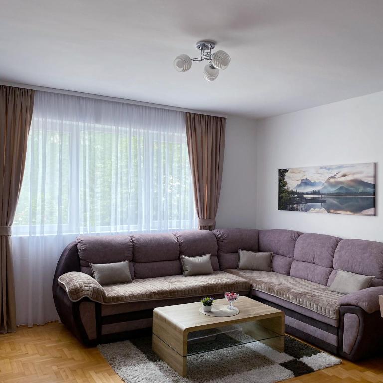 ein Wohnzimmer mit einem lila Sofa und einem Tisch in der Unterkunft Apartment Varezić in Plužine