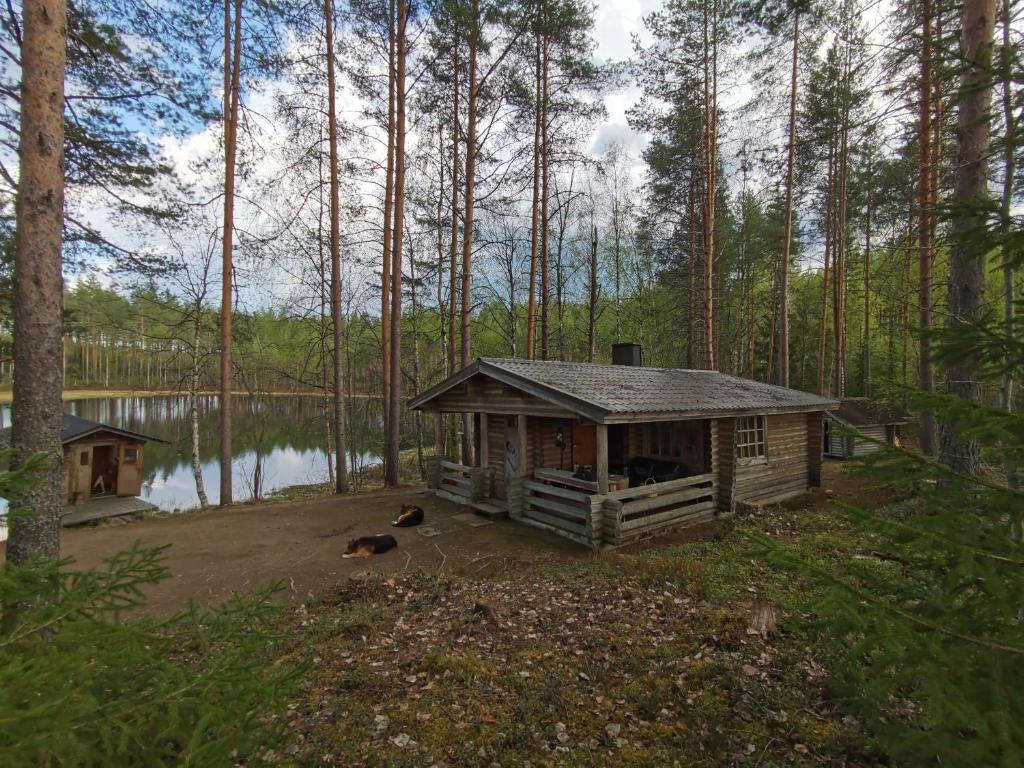 a log cabin in the woods next to a lake at Pattoinlampi Saunamökki 