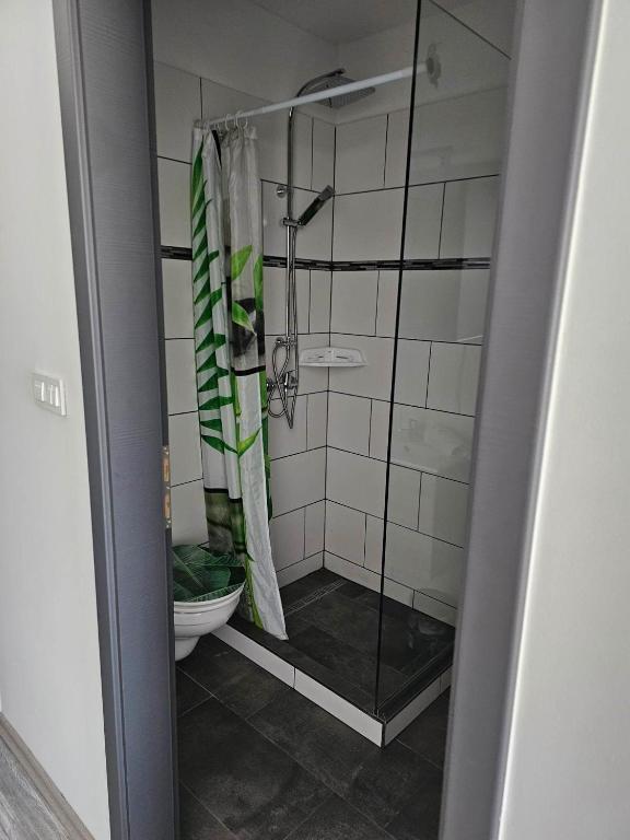 Koupelna v ubytování Orchidea3