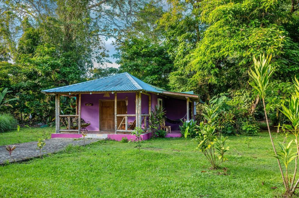 a small purple house in the middle of a yard at Casa Lavanda in tropical jungle garden in Manzanillo