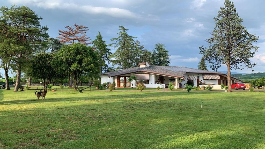 Zahrada ubytování B & B Chic