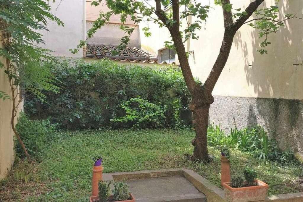 Vonkajšia záhrada v ubytovaní Il Tulipano Apartment With Patio
